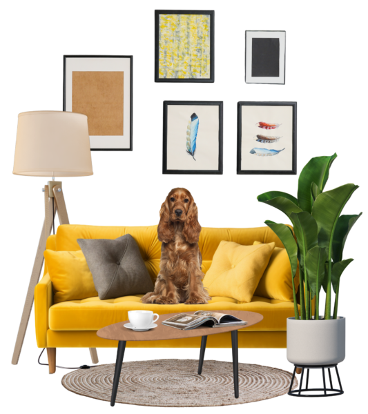 alt зображення за замовчуванням